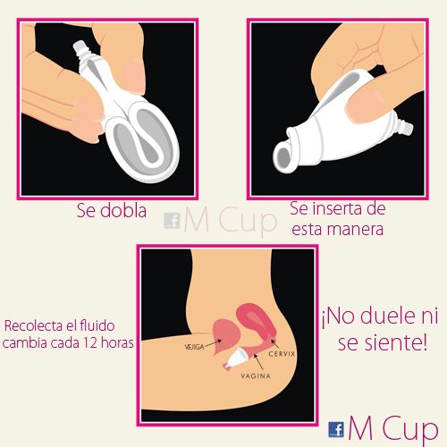 holy cup coletor menstrual como usar