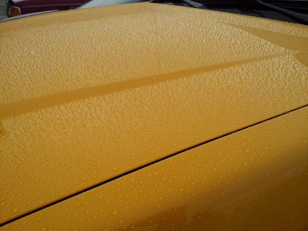 20130706_200755_zps081d09f7.jpg