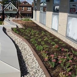  photo greenroof_zps291d435c.jpg