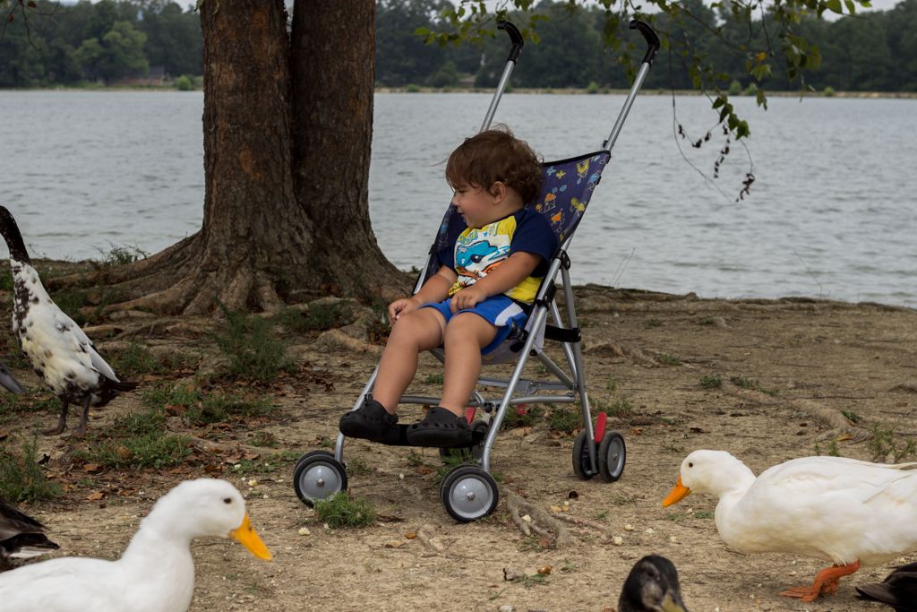 IMAGE: http://i1347.photobucket.com/albums/p705/ron612/IMG_0680_zps6feb07da.jpg