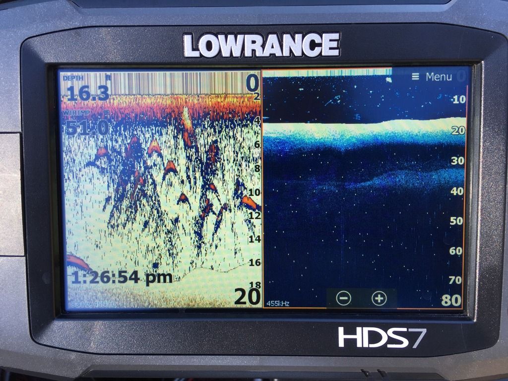 Explain the White Spots