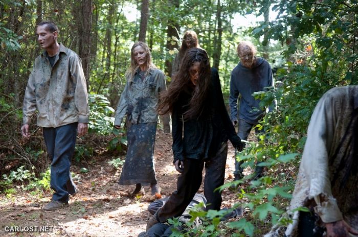 The-Walking-Dead-4x10-Inmates-Carlost-HQ-005_zps26d81251.jpg