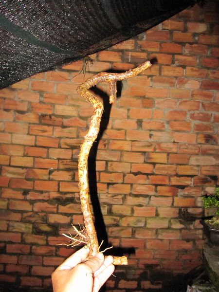 photo IMG_3188_zps8e5f4439.jpg