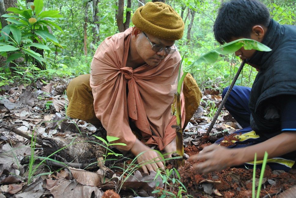  photo 5. Phra Songkam and student planting a sapling. Image courtesy Agri-Nature Foundation_zpss57zfzf1.jpg