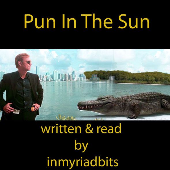 photo puninthesuncover_zpsc1817a47.jpg
