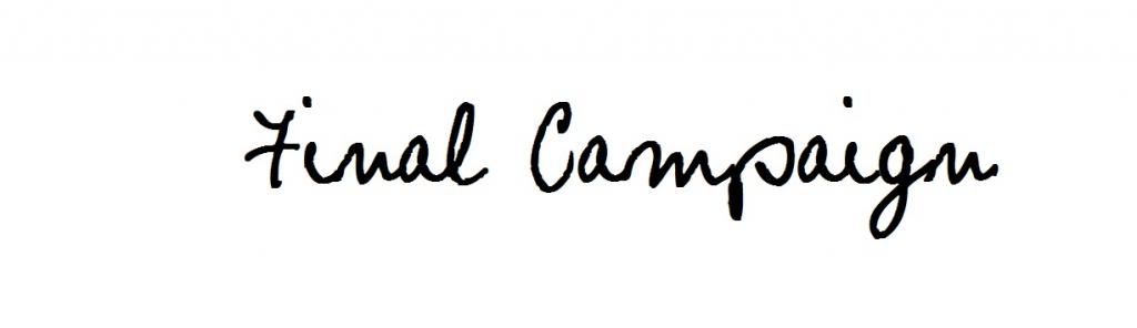 Final Campaign
