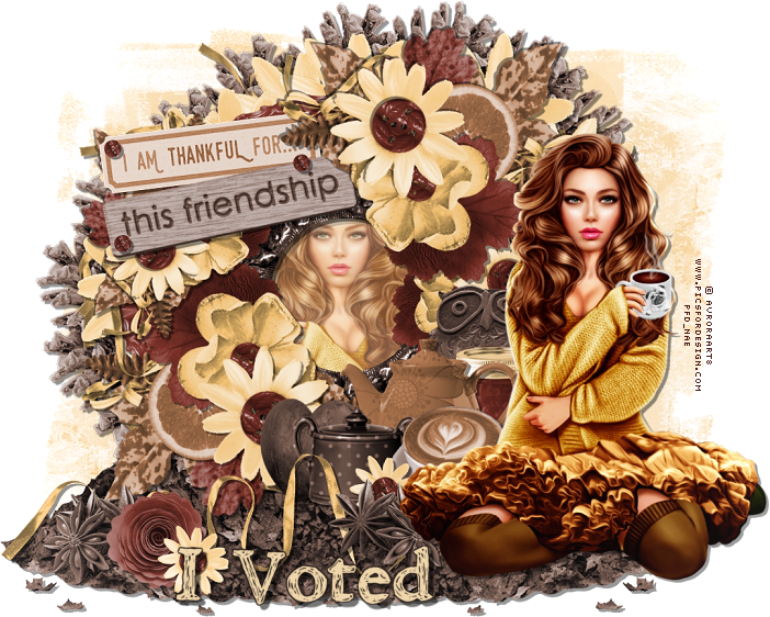  photo ThankfulforyourFriendship.NaeTag.IVoted_zpsqady5ebm.png