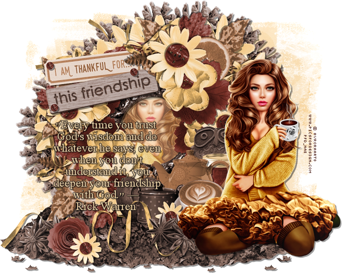  photo ThankfulforyourFriendship.NaeTag.Quote_zpssaa2ip9o.png