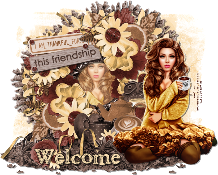  photo ThankfulforyourFriendship.NaeTag.Welcome_zpszy7e3acp.png