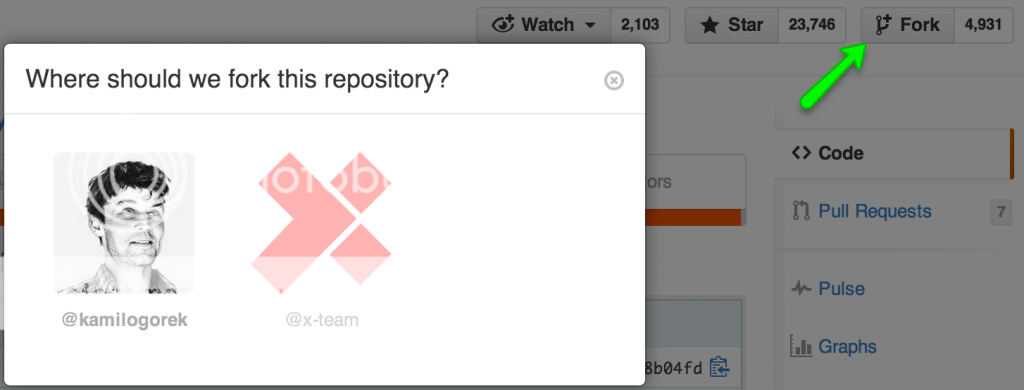 Fork Repository