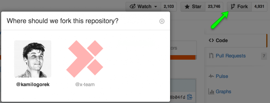 Fork Repository